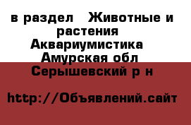  в раздел : Животные и растения » Аквариумистика . Амурская обл.,Серышевский р-н